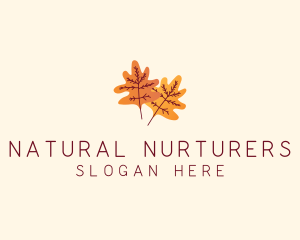 Autumn Season Leaves  logo design