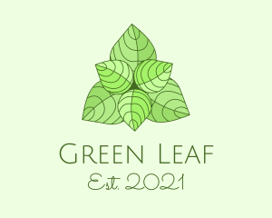 Mint Green Herbal Plant  logo design