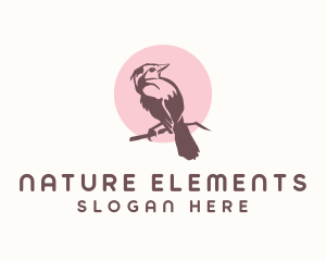 Nature Bird Aviary logo design