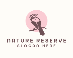 Nature Bird Aviary logo design