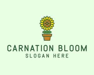 Pot Plant Sunflower Flower logo design