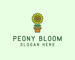 Pot Plant Sunflower Flower logo design