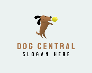 Ball Dog Play logo design