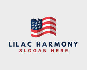 Patriotic American Flag logo design