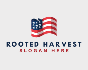 Patriotic American Flag logo design