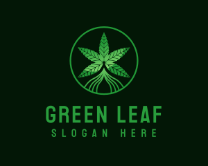 Herbal Hemp Plant logo design