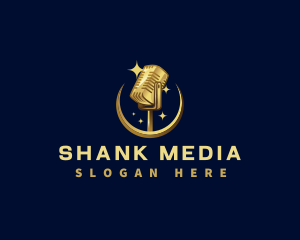 Premium Media Microphone logo design