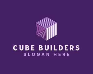 Cube Biometrics Software logo design