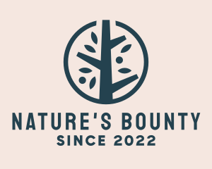 Eco Nature Tree  logo design