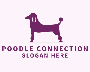 Pet Poodle Dog  logo