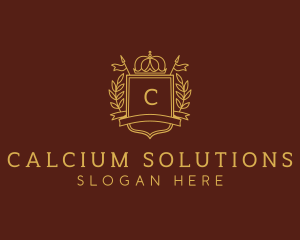 Elegant Crown Shield logo design