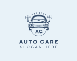 Auto Detailing Vehicle logo design