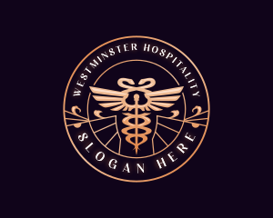 Health Hospital Caduceus logo design