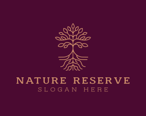 Eco Nature Tree logo design