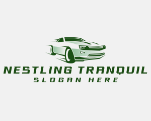 Fast Automotive Detailing logo design