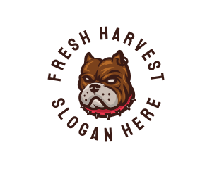 Tough Canine Dog logo design