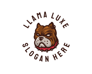 Tough Canine Dog logo design