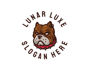 Tough Canine Dog logo design