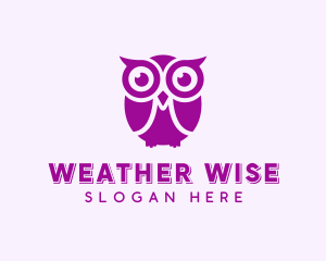 Wise Owl Bird logo design