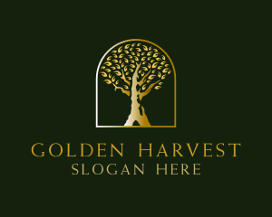 Old Golden Tree  logo design