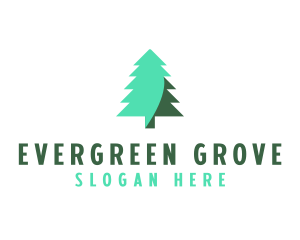 Pine Tree logo design