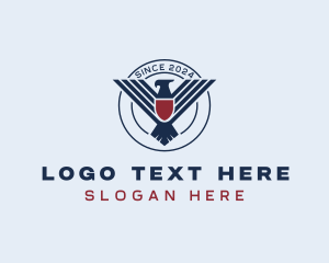 Eagle Shield Air Force logo