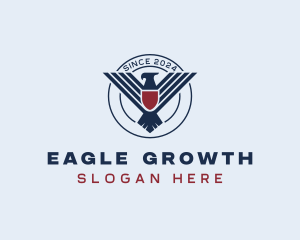 Eagle Shield Air Force logo design