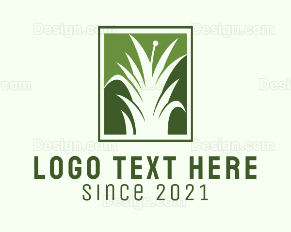 Green Grass Lawn Service Logo