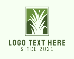 Green Grass Lawn Service  logo