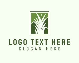 Green Grass Lawn Service  logo