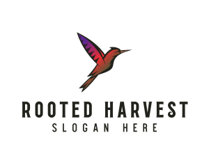 Gradient Hummingbird Flying logo design