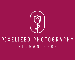 Floral Rose Flower logo design