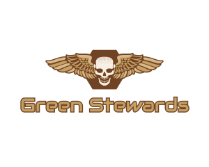 Gold Wing Skull logo design