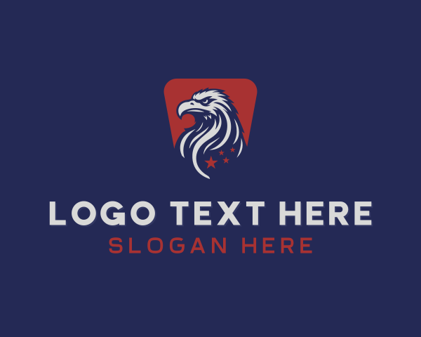 Usa logo example 4