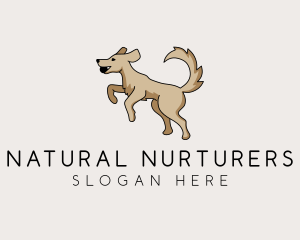 Playing Dog Pet logo design