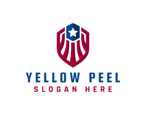 American Protection Shield logo design