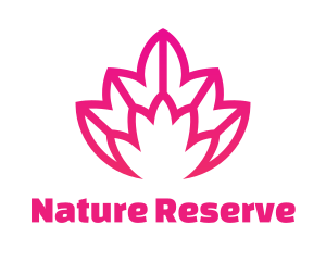 Pink Lotus Line Art logo design