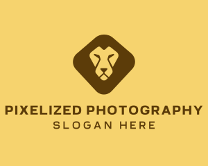 Wild Lion Safari logo design