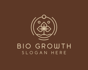 Eco Plant Seedling logo design