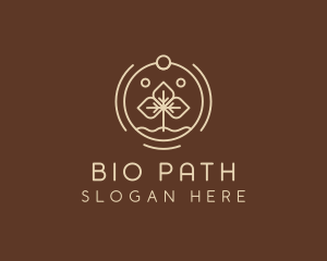 Eco Plant Seedling logo design