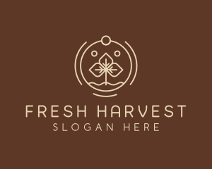 Eco Plant Seedling logo design