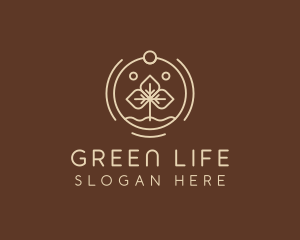 Eco Plant Seedling logo design