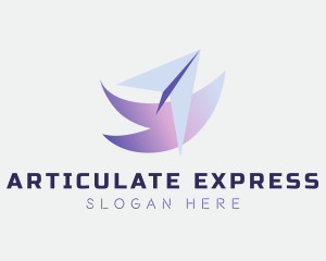 Express Courier Plane logo design