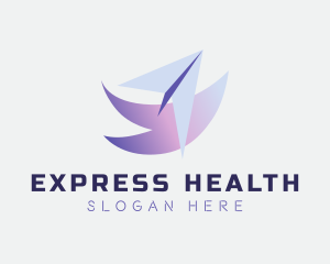 Express Courier Plane logo
