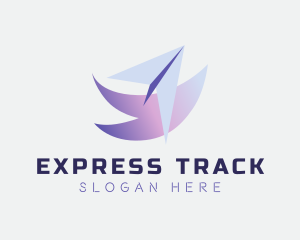 Express Courier Plane logo design