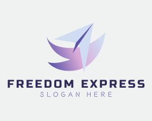 Express Courier Plane logo design