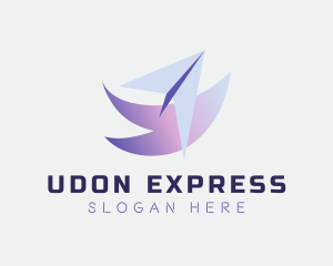 Express Courier Plane logo design