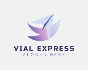 Express Courier Plane logo design