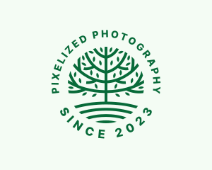 Forest Tree Nature Garden  logo design