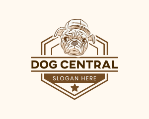 Dog Pet Veterinary logo design